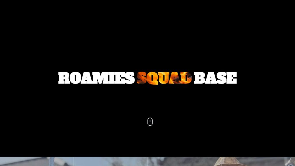 Roamies Squad BaseさまのLP制作実績